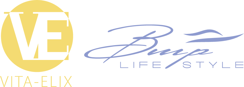 2023-02_ve_bmp_logo.png